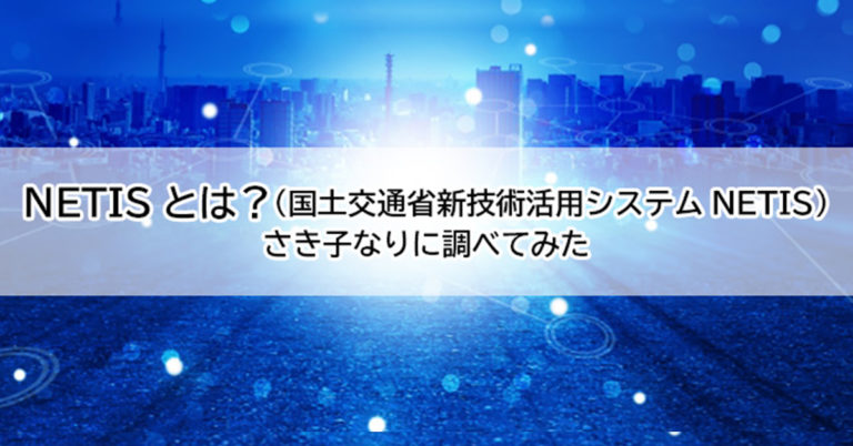 netisとは？