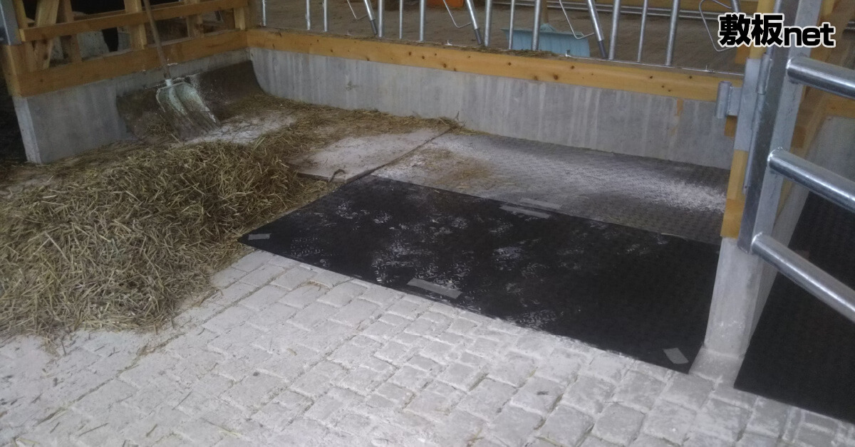 牛舎のコンクリート床にプラスチック敷板を敷いてみた