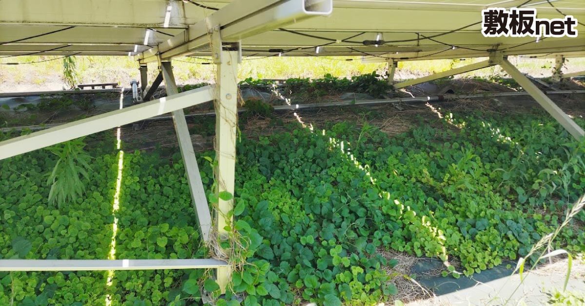 太陽光パネルの地面の雑草防止にプラスチック敷板を使ってみました