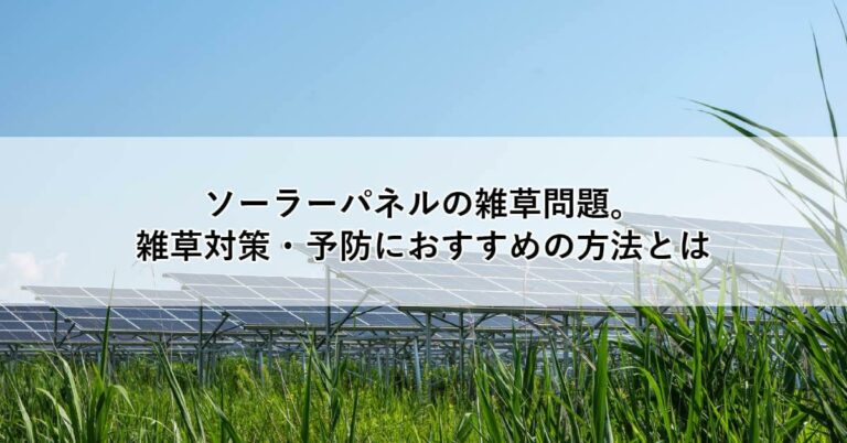 ソーラーパネルの雑草問題。雑草対策・予防におすすめの方法とは